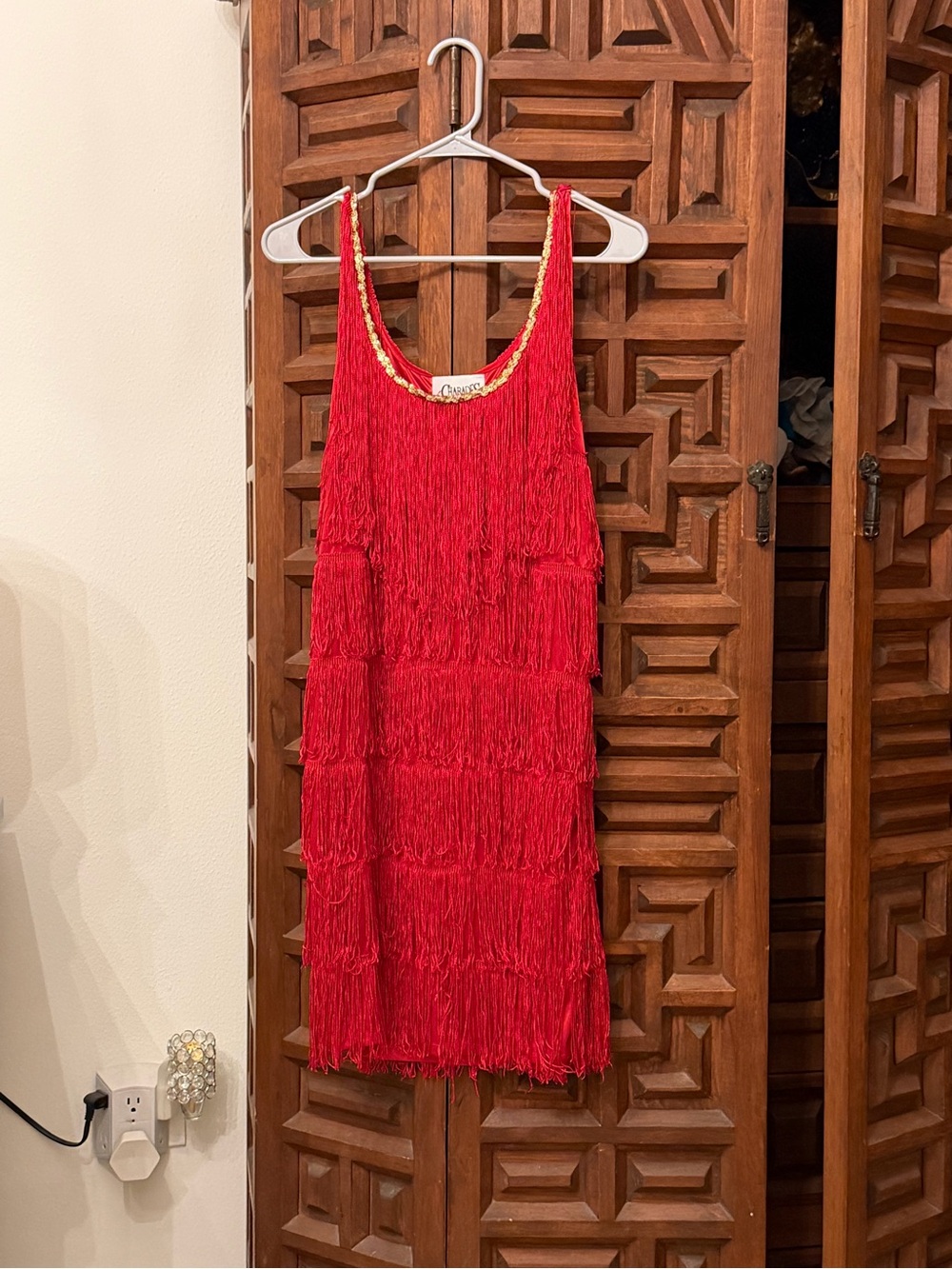 Fringe Slip Dress Red Halloween Costume Charades Fringe great Gatsby roaring 20s